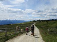 Rückweg zum Ausgangspunkt