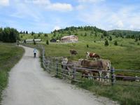 Blick zur Starkenfeldhütte