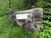 Wanderung auf dem Südtiroler Milchweg