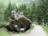 Wanderung auf dem Südtiroler Milchweg
