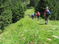 Wanderung zur Burkhardklamm