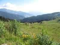 Wanderung auf dem Ratschinger Almenweg