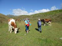 Wanderung auf dem Ratschinger Almenweg