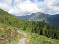 Wanderung auf dem Ratschinger Almenweg