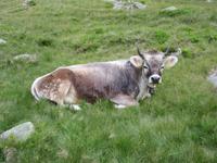 Hier lässt es sich aushalten!