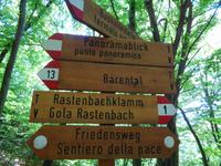 Auf dem Weg in die Rastenbachklamm