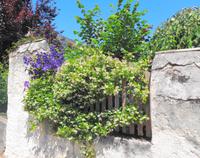 Gartenmauer in Altenburg