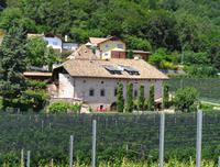 Weingut in Altenburg