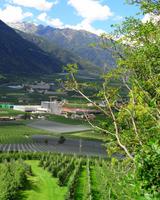 Blick vom Schnalser Waalweg ins Tal 