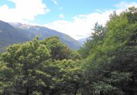 Blick vom Schnalser Waalweg 