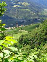 Blick vom Schnalser Waalweg ins Tal 