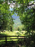 Blick vom Schnalser Waalweg ins Tal 