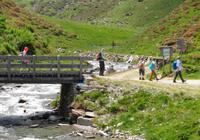 Auf dem Weg zur Lazinser Alm im Passeiertal 
