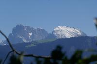 Langkoffel u. Plattkoffel