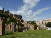 Im Forum Romanum (4)