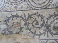 Aquileia_Dom (6)
