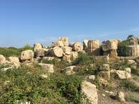 Archäologischer Park Selinunte