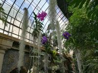 Exotische Pflanzenwelt.