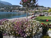 Spätsommer in Ascona in der Schweiz.