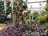 13.09.2018 Raffeiner Orchideenwelt