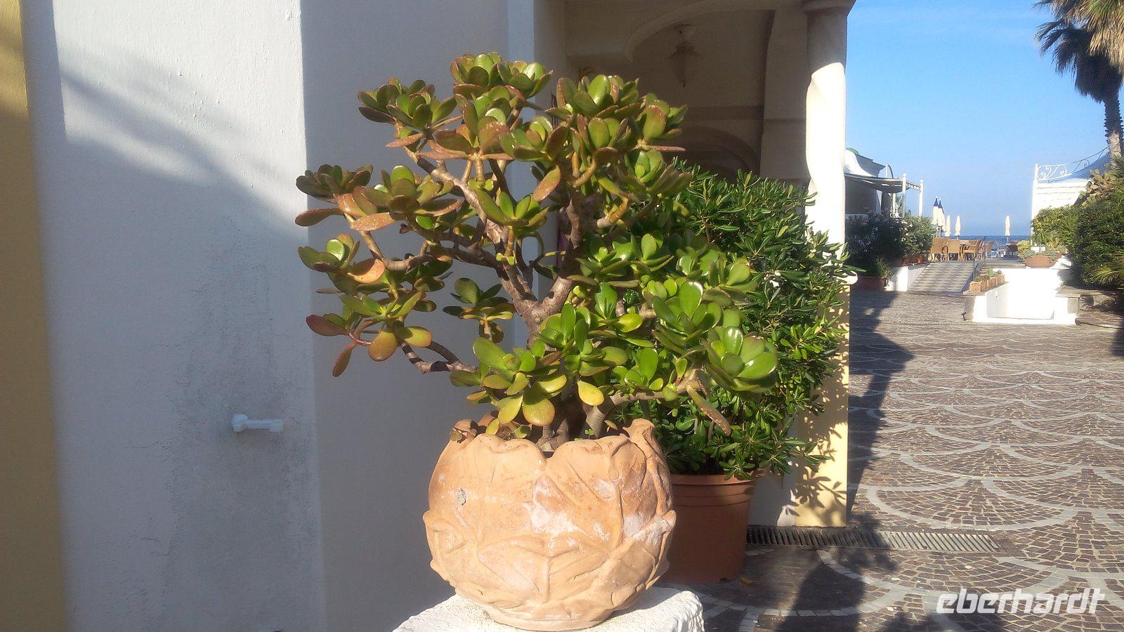 Forio, unser Hotel Tritone