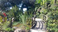 Forio, Botanischer Garten La Mortella