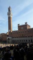 Siena (Piazza del Campo - Palazzo Pubblico/Rathaus)