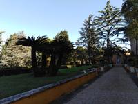 Rom, 18.10.2018, Vatikanische Gärten