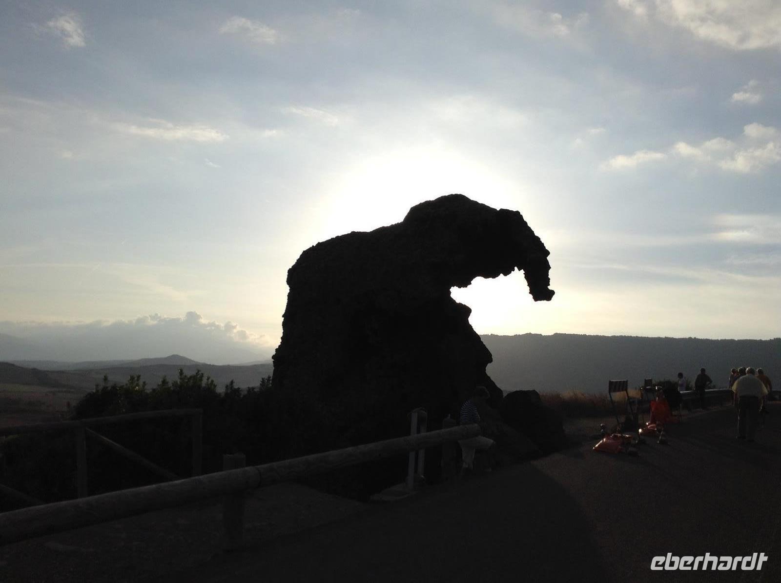 der Elefant in der Morgensonne