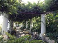 Gartenanlage Villa Munte