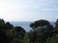 Ausblick von den botanischen Gärten 