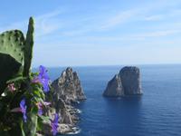 Ausblick von den Augustusgärten auf Capri