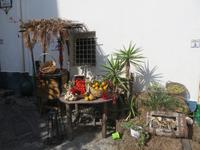 Gemüse- und Gewürzstand in Ischia Ponte