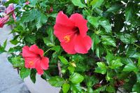 Wanderreise Elba IT-WAELB-21