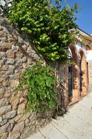 Wanderreise Elba IT-WAELB-24