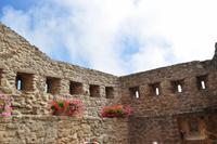 Wanderreise Elba IT-WAELB-41