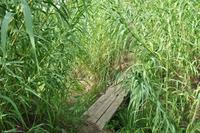 Wanderreise Elba IT-WAELB-70