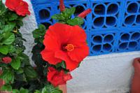 Wanderreise Elba IT-WAELB-72