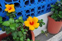 Wanderreise Elba IT-WAELB-73