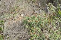 Tag 03 IT-WAELB (25)