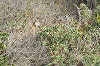 Tag 03 IT-WAELB (26)