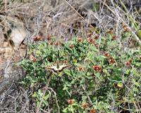 Tag 03 IT-WAELB (27)