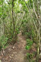 Tag 03 IT-WAELB (28)