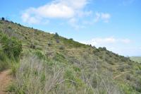 Tag 03 IT-WAELB (32)