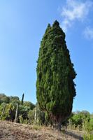 Tag 03 IT-WAELB (37)