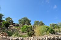 Tag 03 IT-WAELB (39)