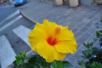 Tag 03 IT-WAELB (51)