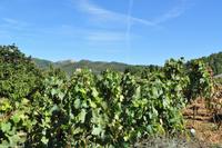 Tag 05 IT-WAELB (19)