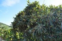 Tag 05 IT-WAELB (20)