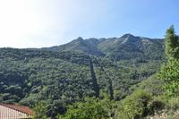 Tag 06 Monte Capanne IT-WAELB (4)